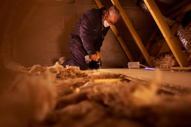 Best Attic Insulation Installation  in Luling, TX